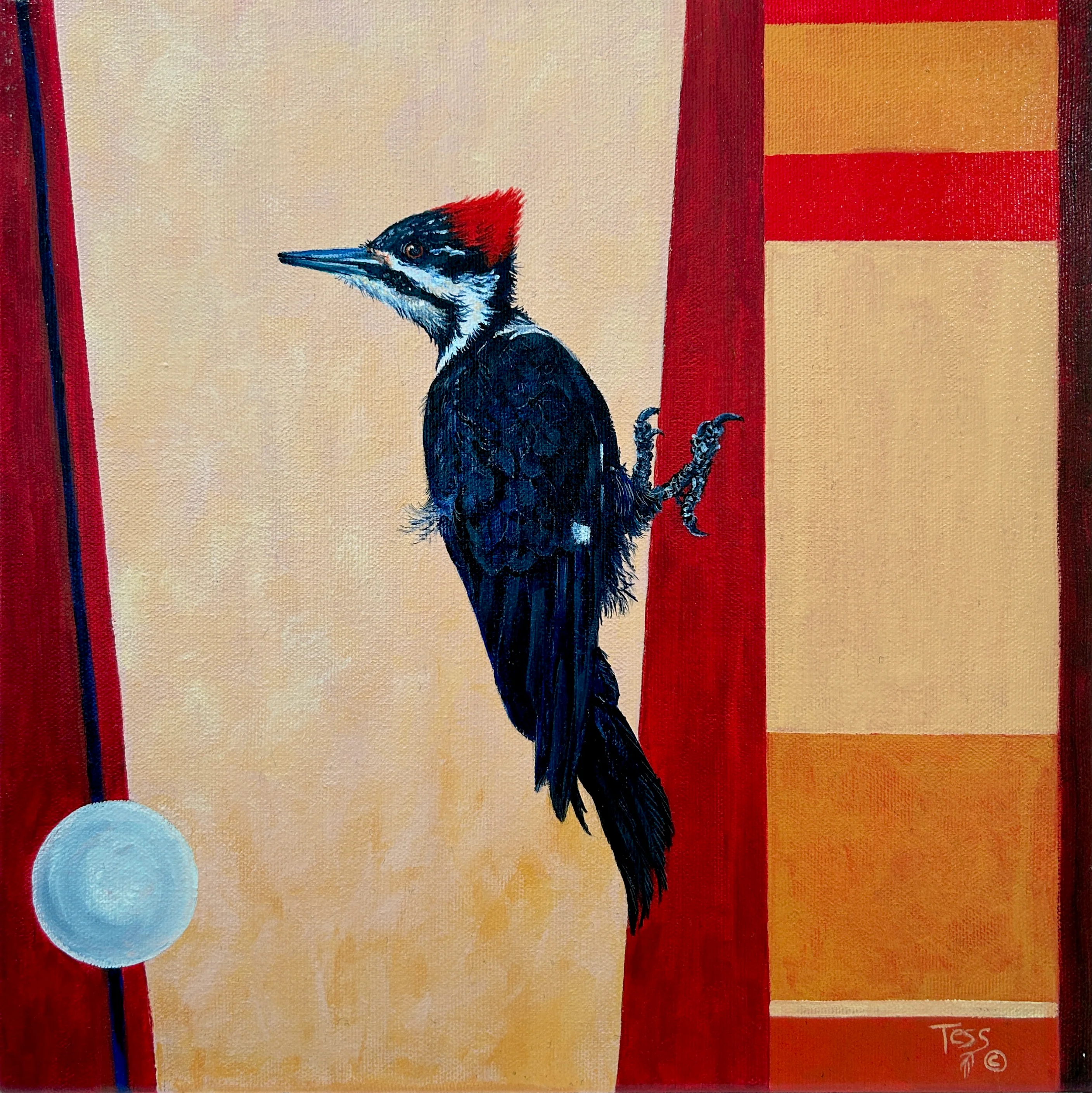 The Beauty and the Daring of Youth, Pileated Woodpecker