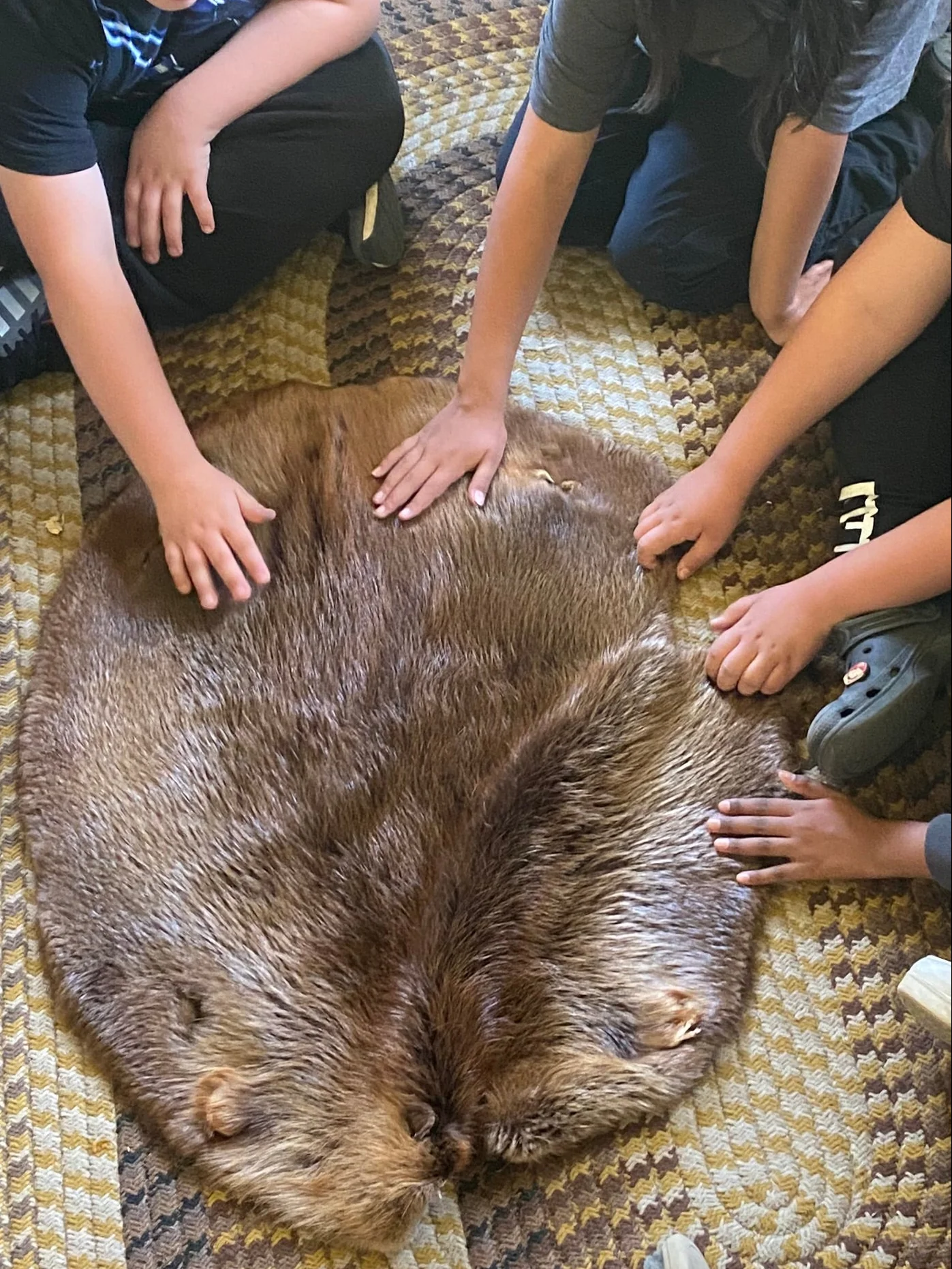 The Fur Trade Game (In-Person) - Image 7
