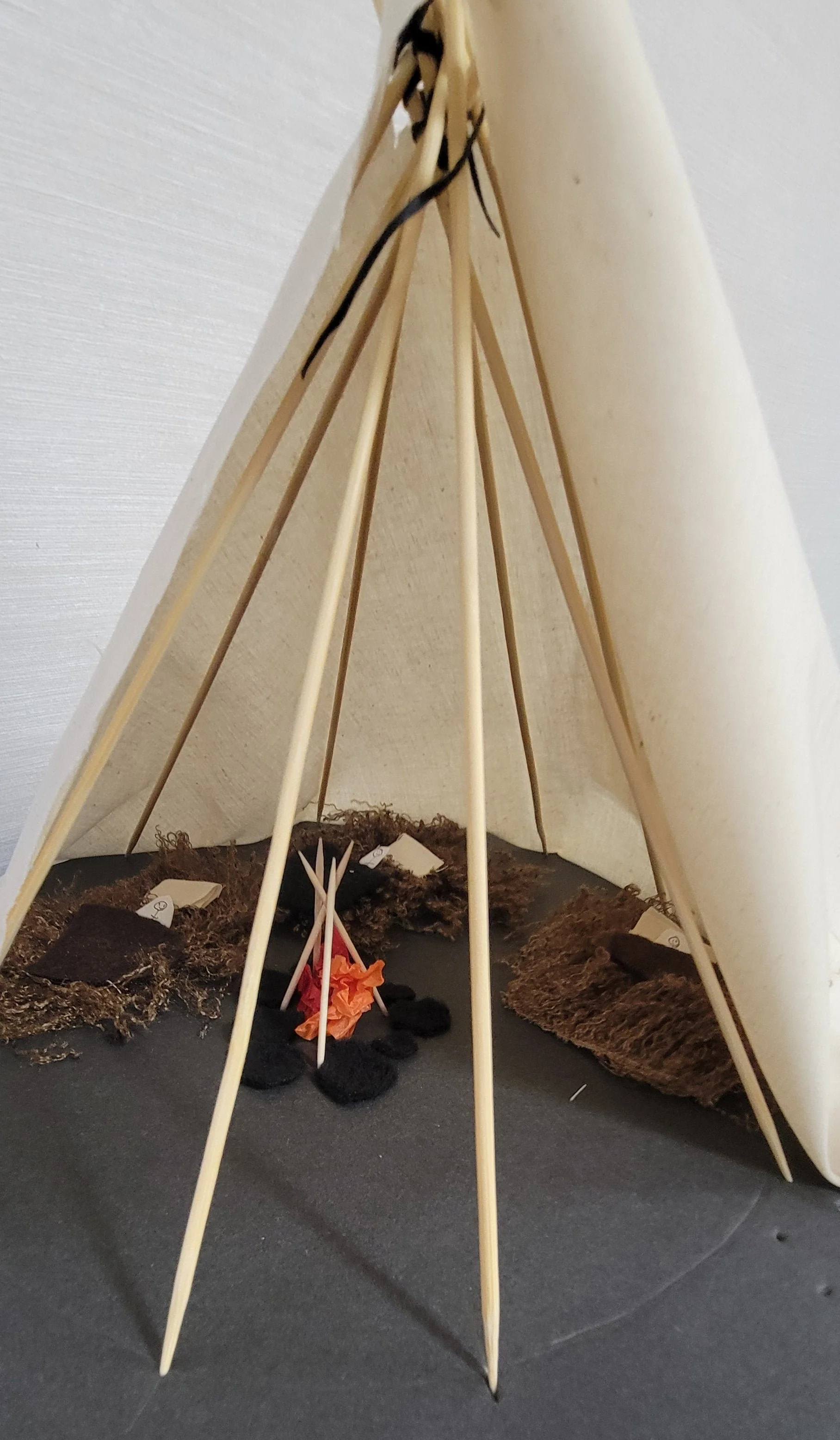 The Tipi as Home - Image 2