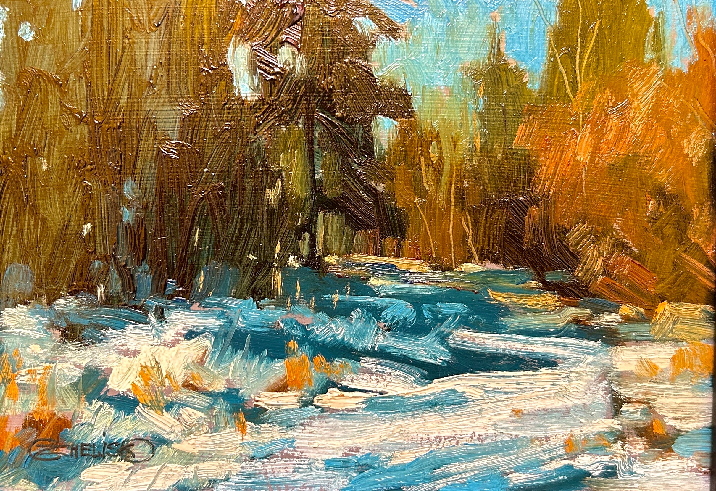 Winter Walk